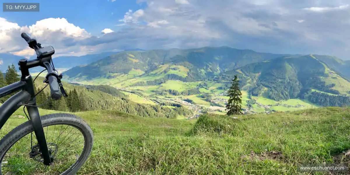 海量正版周边，让热爱触手可及！🎁⚽️🏀❤️