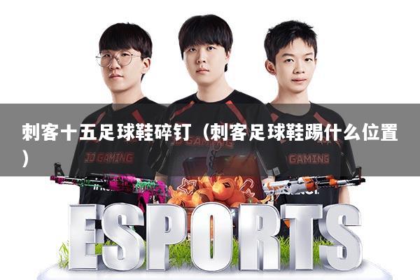 刺客十五足球鞋碎钉（刺客足球鞋踢什么位置）