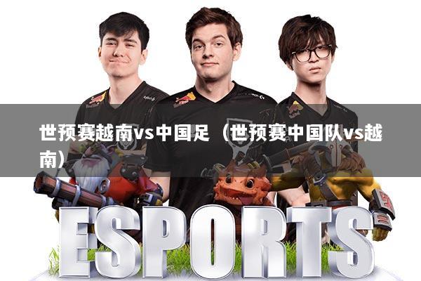 世预赛越南vs中国足（世预赛中国队vs越南）